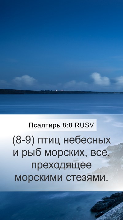Псалтирь 8:8 RUSV Mobile Phone Wallpaper - (8-9) птиц небесных и рыб - Mobile Bible Verse Wallpaper