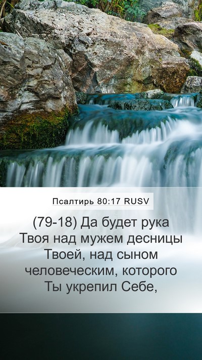 Псалтирь 80:17 RUSV Bible Verse Image