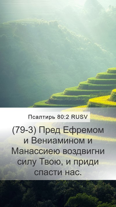 Псалтирь 80:2 RUSV Bible Verse Image
