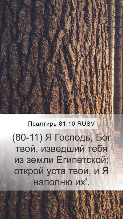 Псалтирь 81:10 RUSV Mobile Phone Wallpaper - (80-11) Я Господь, Бог твой, - Mobile Bible Verse Wallpaper