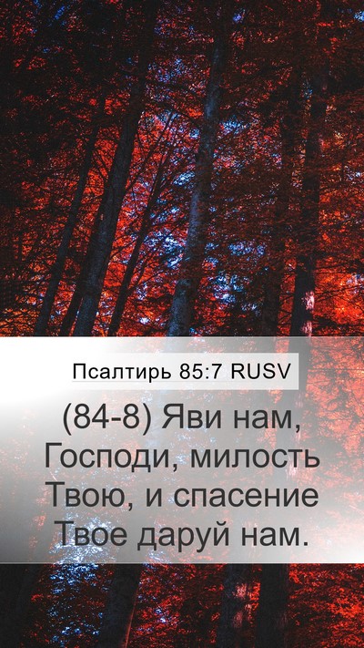 Псалтирь 85:7 RUSV Mobile Phone Wallpaper - (84-8) Яви нам, Господи, - Mobile Bible Verse Wallpaper