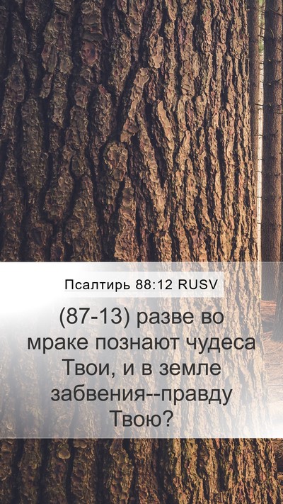 Псалтирь 88:12 RUSV Mobile Phone Wallpaper - (87-13) разве во мраке познают - Mobile Bible Verse Wallpaper