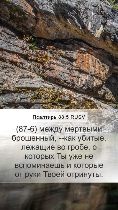 Псалтирь 88:5 RUSV Bible Verse Image