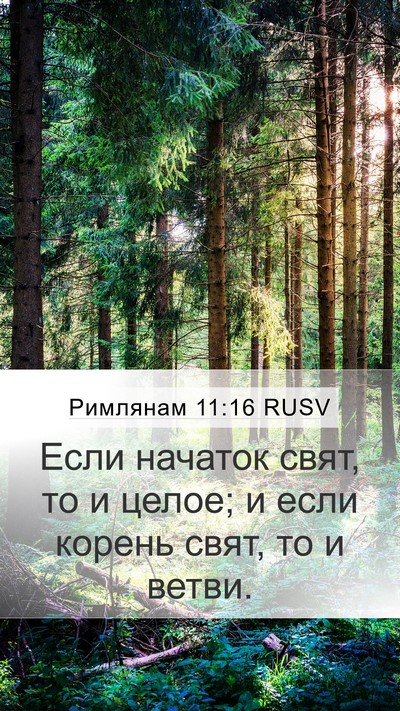 Римлянам 11:16 RUSV Bible Verse Image