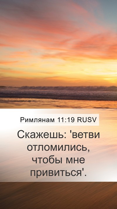 Римлянам 11:19 RUSV Bible Verse Image