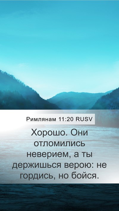 Римлянам 11:20 RUSV Bible Verse Image