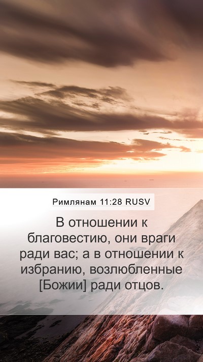 Римлянам 11:28 RUSV Bible Verse Image