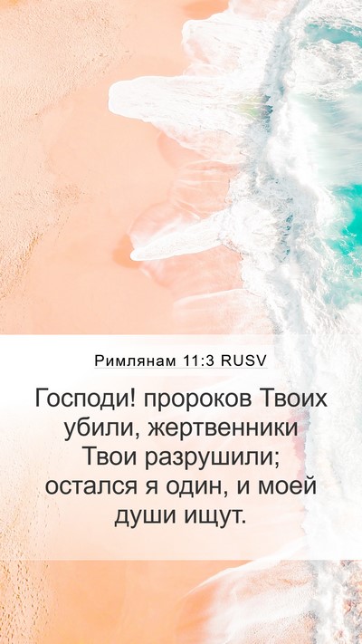 Римлянам 11:3 RUSV Mobile Phone Wallpaper - Господи! пророков Твоих - Mobile Bible Verse Wallpaper
