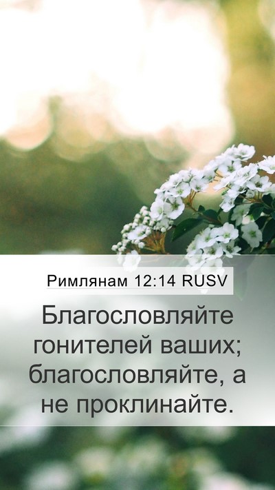 Римлянам 12:14 RUSV Bible Verse Image