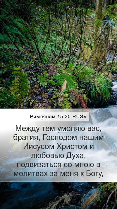 Римлянам 15:30 RUSV Bible Verse Image