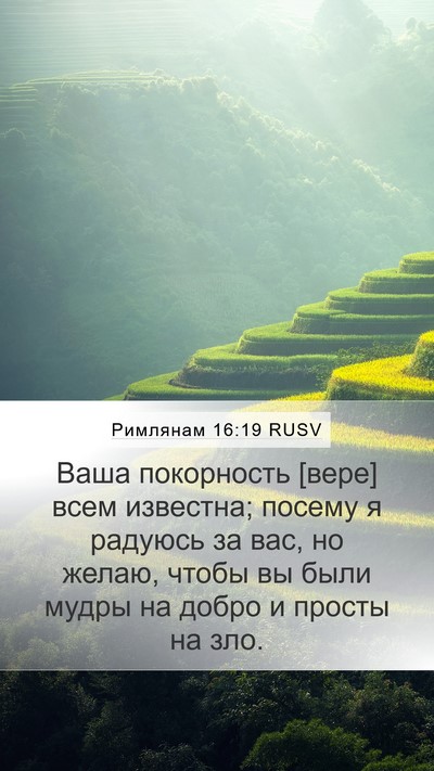 Римлянам 16:19 RUSV Bible Verse Image