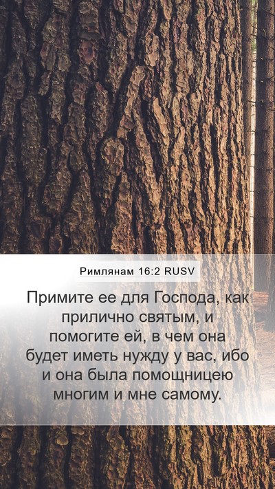Римлянам 16:2 RUSV Bible Verse Image