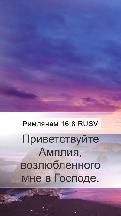 Римлянам 16:8 RUSV Mobile Phone Wallpaper - Приветствуйте Амплия, - Mobile Bible Verse Wallpaper