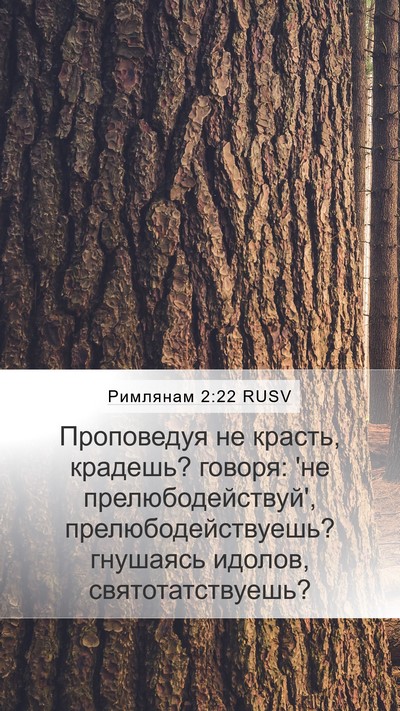 Римлянам 2:22 RUSV Bible Verse Image
