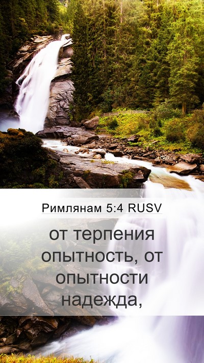 Римлянам 5:4 RUSV Mobile Phone Wallpaper - от терпения опытность, от - Mobile Bible Verse Wallpaper