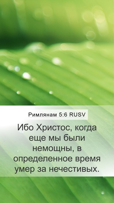 Римлянам 5:6 RUSV Mobile Phone Wallpaper - Ибо Христос, когда еще мы - Mobile Bible Verse Wallpaper