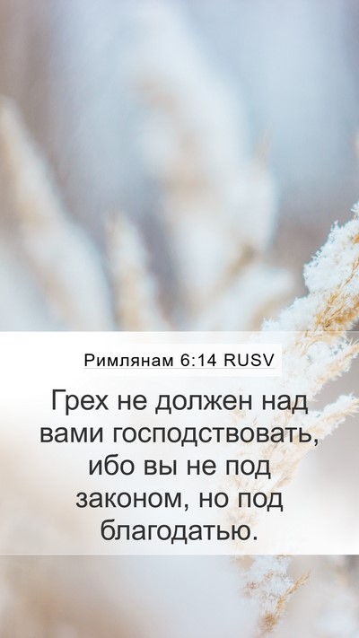 Римлянам 6:14 RUSV Bible Verse Image