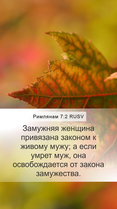Римлянам 7:2 RUSV Bible Verse Image