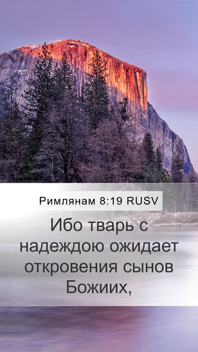 Римлянам 8:19 RUSV Bible Verse Image