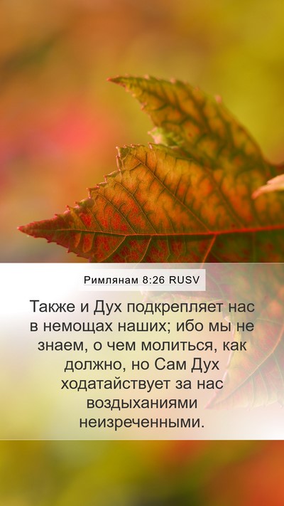 Римлянам 8:26 RUSV Bible Verse Image