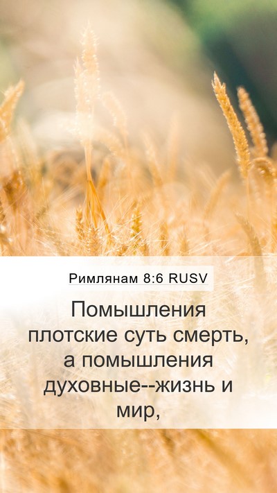 Римлянам 8:6 RUSV Bible Verse Image