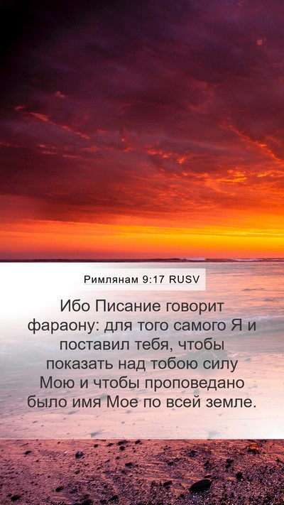 Римлянам 9:17 RUSV Bible Verse Image