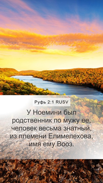 Руфь 2:1 RUSV Mobile Phone Wallpaper - У Ноемини был родственник - Mobile Bible Verse Wallpaper