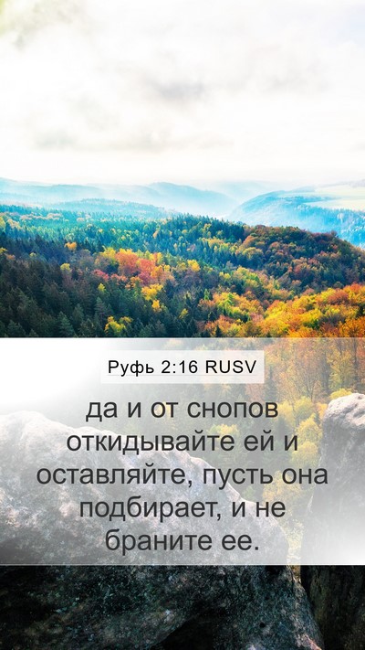 Руфь 2:16 RUSV Mobile Phone Wallpaper - да и от снопов откидывайте - Mobile Bible Verse Wallpaper