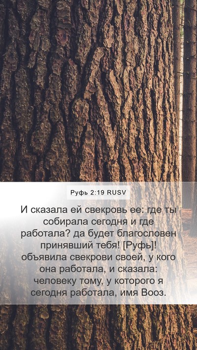Руфь 2:19 RUSV Mobile Phone Wallpaper - И сказала ей свекровь ее: - Mobile Bible Verse Wallpaper