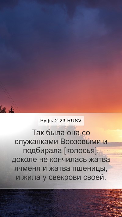 Руфь 2:23 RUSV Bible Verse Image