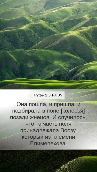 Руфь 2:3 RUSV Bible Verse Image