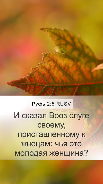 Руфь 2:5 RUSV Mobile Phone Wallpaper - И сказал Вооз слуге своему, - Mobile Bible Verse Wallpaper