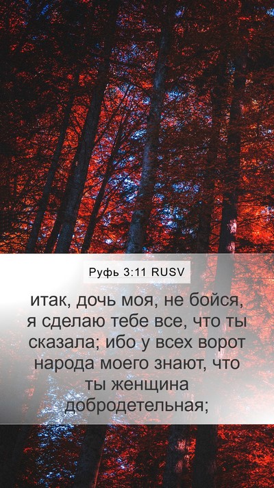 Руфь 3:11 RUSV Bible Verse Image