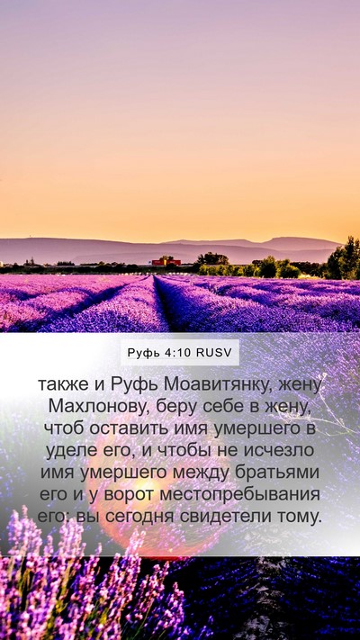 Руфь 4:10 RUSV Mobile Phone Wallpaper - также и Руфь Моавитянку, - Mobile Bible Verse Wallpaper