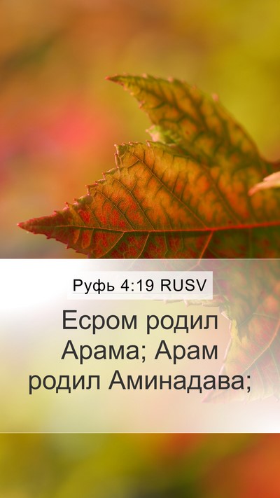 Руфь 4:19 RUSV Bible Verse Image