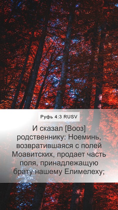 Руфь 4:3 RUSV Bible Verse Image
