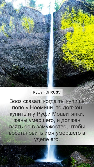 Руфь 4:5 RUSV Mobile Phone Wallpaper - Вооз сказал: когда ты - Mobile Bible Verse Wallpaper