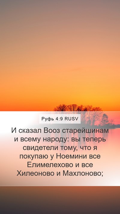 Руфь 4:9 RUSV Bible Verse Image