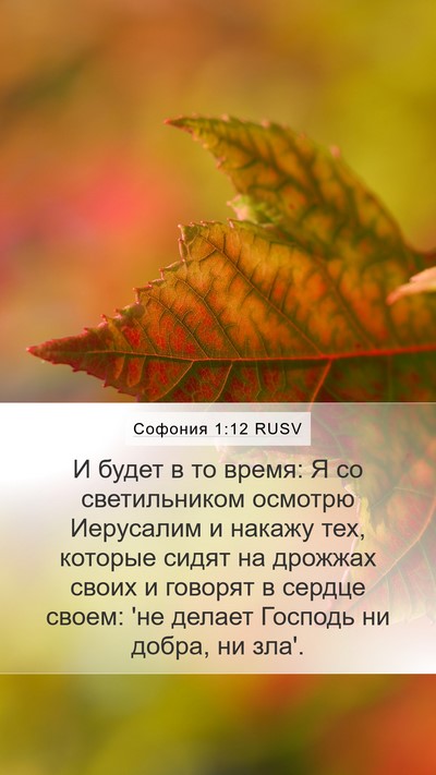 Софония 1:12 RUSV Bible Verse Image