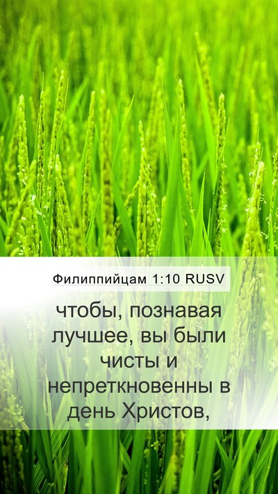 Филиппийцам 1:10 RUSV Bible Verse Image