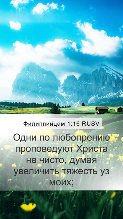 Филиппийцам 1:16 RUSV Bible Verse Image
