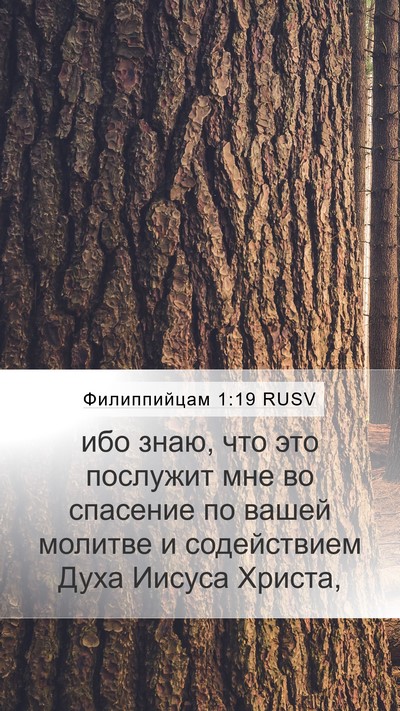 Филиппийцам 1:19 RUSV Bible Verse Image