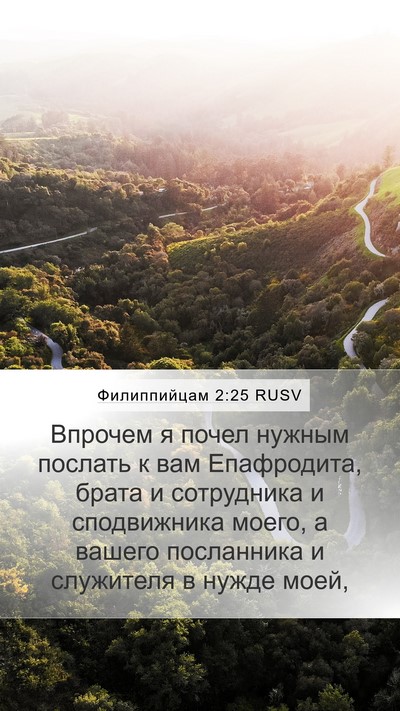 Филиппийцам 2:25 RUSV Bible Verse Image