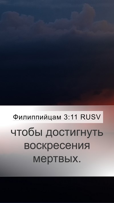 Филиппийцам 3:11 RUSV Bible Verse Image