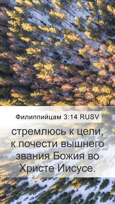 Филиппийцам 3:14 RUSV Bible Verse Image