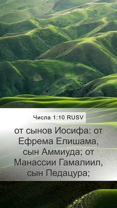 Числа 1:10 RUSV Mobile Phone Wallpaper - от сынов Иосифа: от Ефрема - Mobile Bible Verse Wallpaper