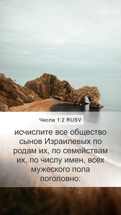 Числа 1:2 RUSV Bible Verse Image