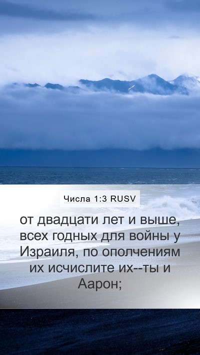 Числа 1:3 RUSV Bible Verse Image