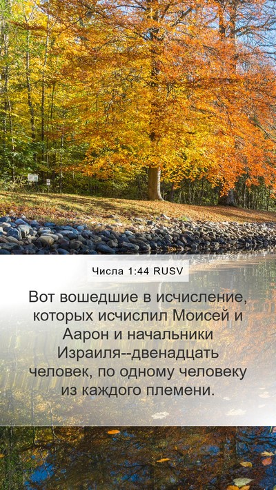 Числа 1:44 RUSV Mobile Phone Wallpaper - Вот вошедшие в исчисление, - Mobile Bible Verse Wallpaper