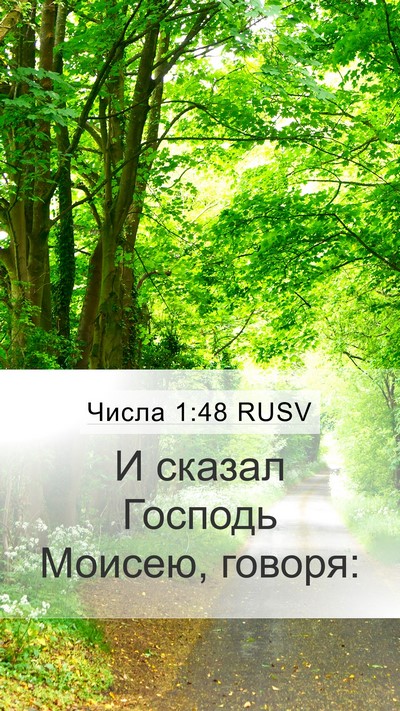 Числа 1:48 RUSV Mobile Phone Wallpaper - И сказал Господь Моисею, - Mobile Bible Verse Wallpaper